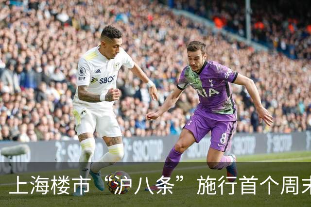 上海楼市“沪八条”施行首个周末，外环外千万元级新房受热捧